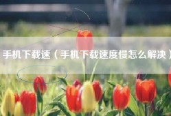 手机下载速（手机下载速度慢怎么解决）