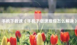 手机下载速（手机下载速度慢怎么解决）