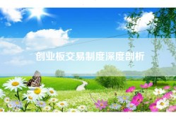 创业板交易制度深度剖析