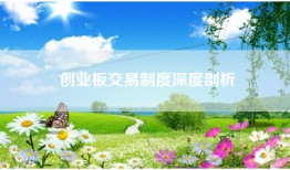 创业板交易制度深度剖析