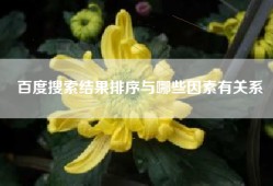 百度搜索结果排序与哪些因素有关系
