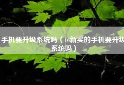 手机要升级系统吗（16新买的手机要升级系统吗）