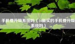 手机要升级系统吗（16新买的手机要升级系统吗）