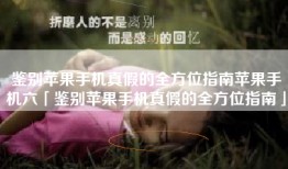 鉴别苹果手机真假的全方位指南苹果手机六「鉴别苹果手机真假的全方位指南」