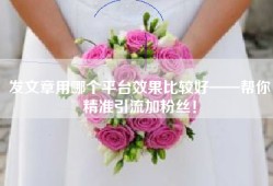 发文章用哪个平台效果比较好——帮你精准引流加粉丝！