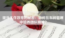 提升工作效率的秘密：如何在车间管理中培养团队精神？