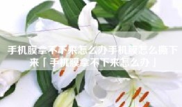 手机膜拿不下来怎么办手机膜怎么撕下来「手机膜拿不下来怎么办」