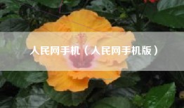 人民网手机（人民网手机版）