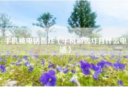 手机被电话轰炸（手机被轰炸打什么电话）