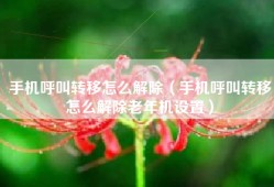 手机呼叫转移怎么解除（手机呼叫转移怎么解除老年机设置）