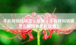 手机呼叫转移怎么解除（手机呼叫转移怎么解除老年机设置）