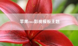 苹果cms影视模板主题