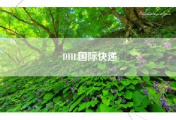DHL国际快递