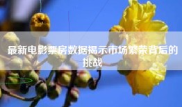 最新电影票房数据揭示市场繁荣背后的挑战