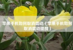 苹果手机如何取消震动（苹果手机如何取消震动提醒）