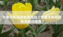 苹果手机如何取消震动（苹果手机如何取消震动提醒）