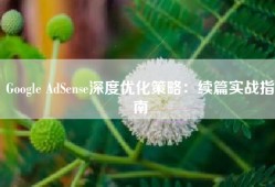 Google AdSense深度优化策略：续篇实战指南