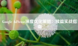 Google AdSense深度优化策略：续篇实战指南