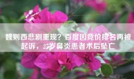 魏则西悲剧重现？百度因竞价排名再被起诉，27岁鼻炎患者术后坠亡
