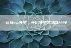 详解seo 外贸，开启外贸营销新征程