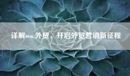 详解seo 外贸，开启外贸营销新征程