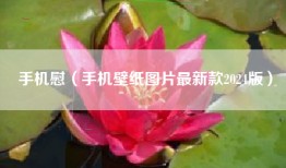 手机慰（手机壁纸图片最新款2024版）