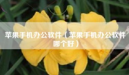 苹果手机办公软件（苹果手机办公软件哪个好）