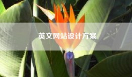英文网站设计方案