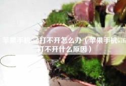 苹果手机wifi打不开怎么办（苹果手机wifi打不开什么原因）