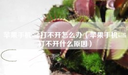 苹果手机wifi打不开怎么办（苹果手机wifi打不开什么原因）