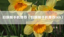 旧旗舰手机推荐（旧旗舰手机推荐2020）