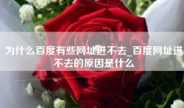 为什么百度有些网址进不去_百度网址进不去的原因是什么