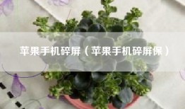 苹果手机碎屏（苹果手机碎屏保）