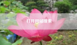 打开网站搜索