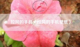 拉风的手机（拉风的手机壁纸）