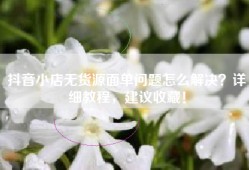 抖音小店无货源面单问题怎么解决？详细教程，建议收藏！