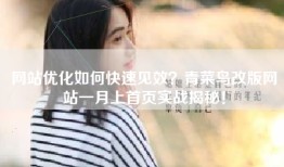 网站优化如何快速见效？青菜鸟改版网站一月上首页实战揭秘！