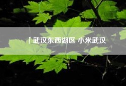 「武汉东西湖区 小米武汉