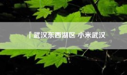「武汉东西湖区 小米武汉
