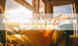 网络推广有哪些形式呢英语(网络推广有哪些形式呢英语翻译)