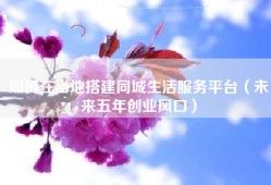 如何在当地搭建同城生活服务平台（未来五年创业风口）
