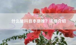 什么是抖音本地推？详细介绍