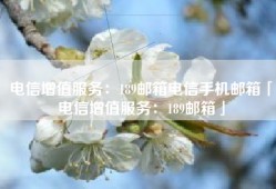 电信增值服务：189邮箱电信手机邮箱「电信增值服务：189邮箱」