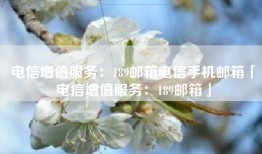 电信增值服务：189邮箱电信手机邮箱「电信增值服务：189邮箱」