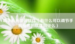 调手机亮度的软件（有什么可以调节手机亮度的软件叫什么）
