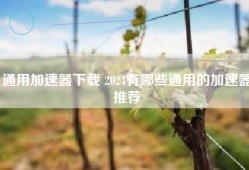 通用加速器下载 2024有哪些通用的加速器推荐