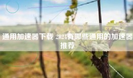 通用加速器下载 2024有哪些通用的加速器推荐