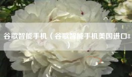 谷歌智能手机（谷歌智能手机美国进口8）