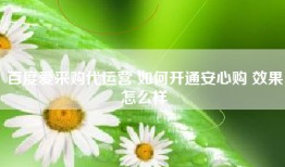 百度爱采购代运营 如何开通安心购 效果怎么样