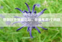 想做好外贸独立站，你要考虑3个问题